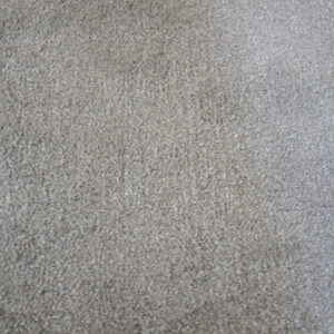 Indoor/Outdoor Carpet